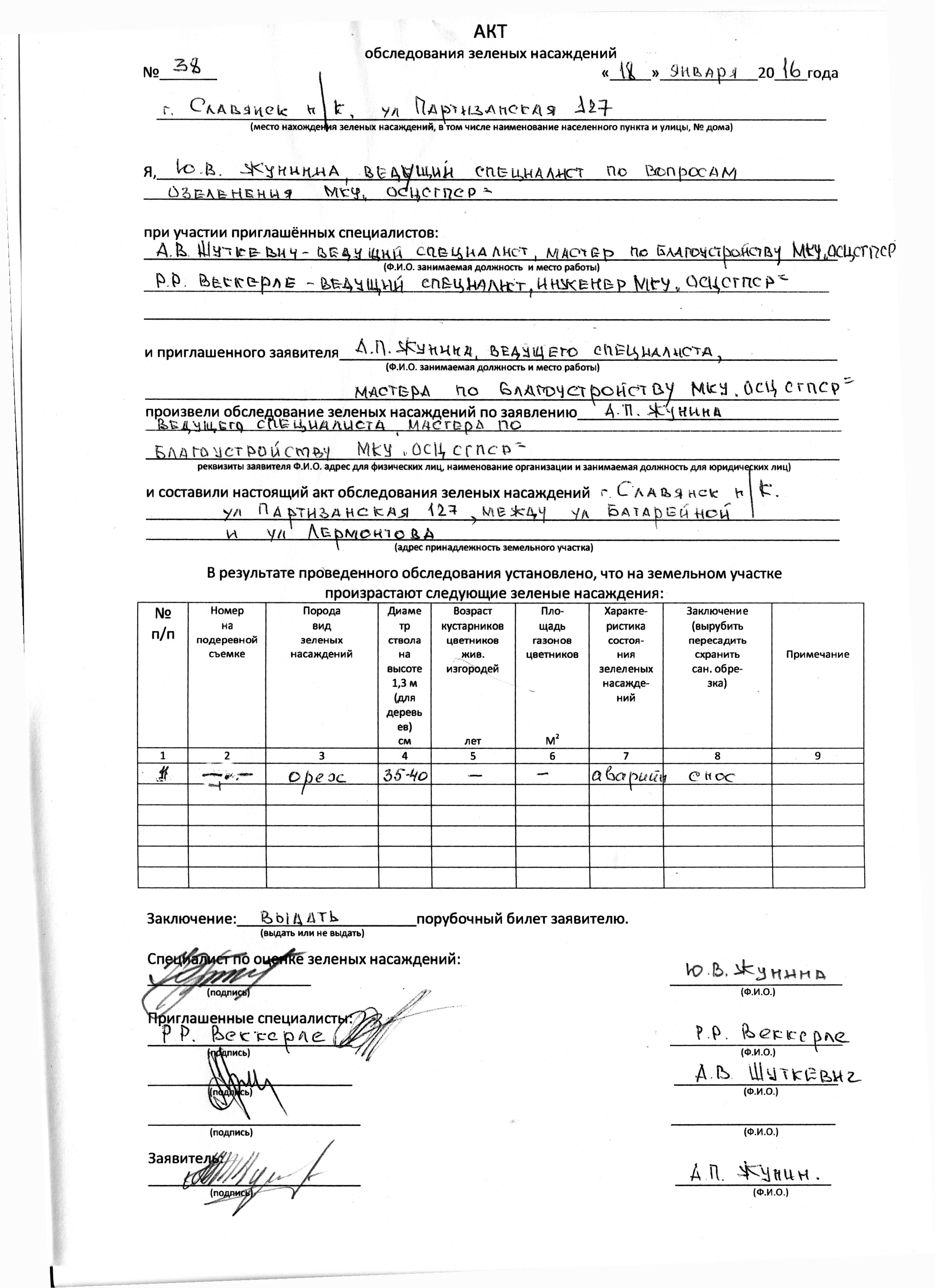 Акт осмотра аварийного дерева образец