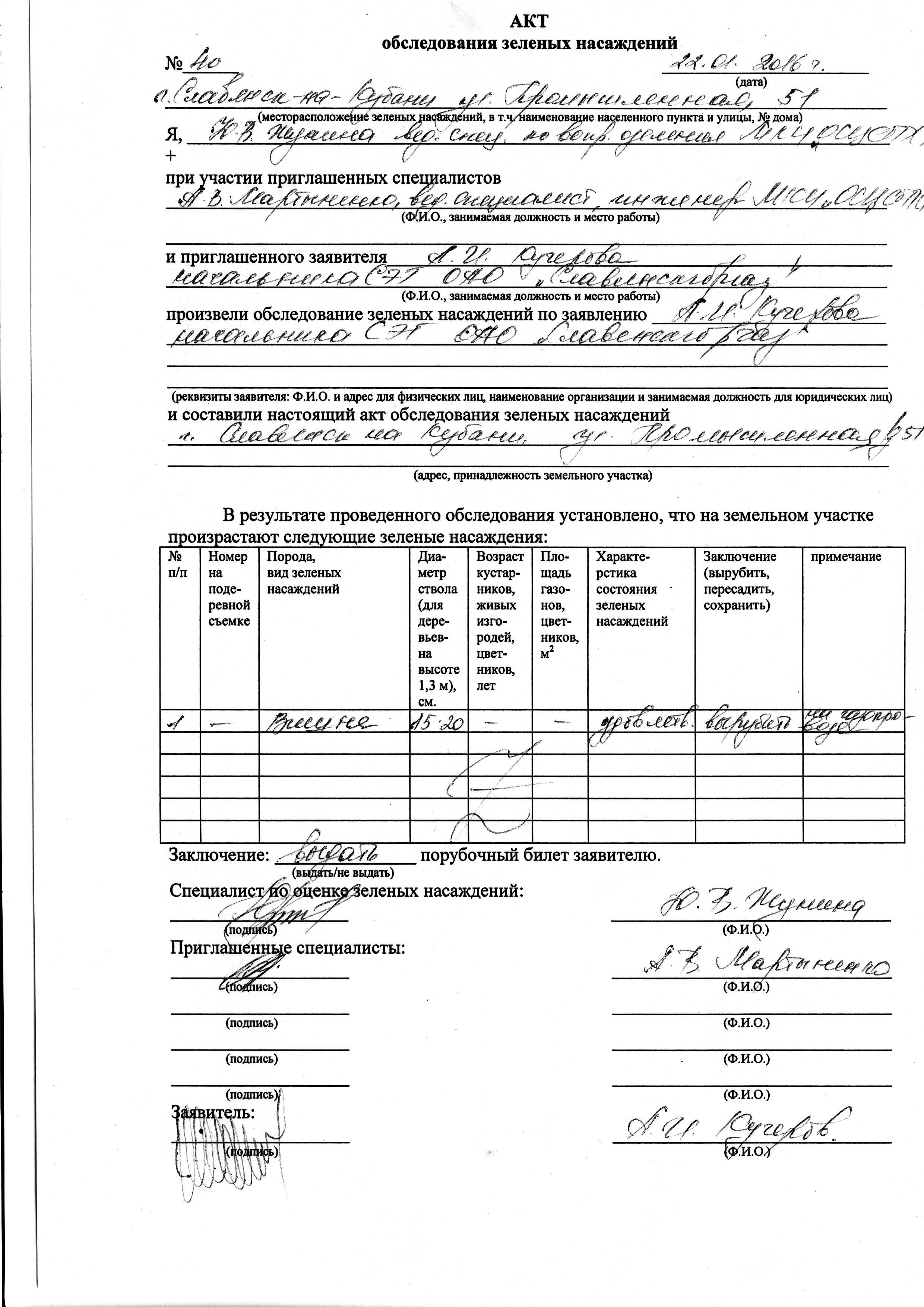 Акт осмотра аварийного дерева образец